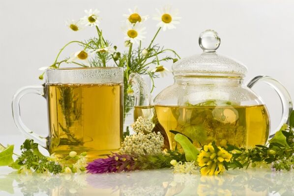 decocção de ervas como antibiótico natural para prostatite